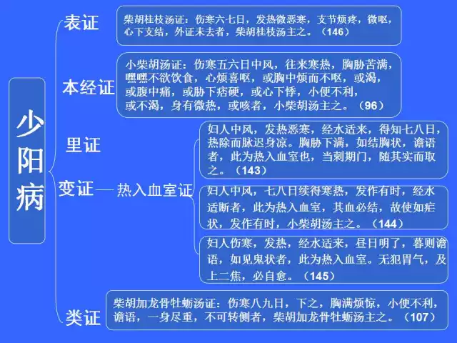 2015经方论坛最受欢迎演讲之一：从广义少阳病证治谈中医根本