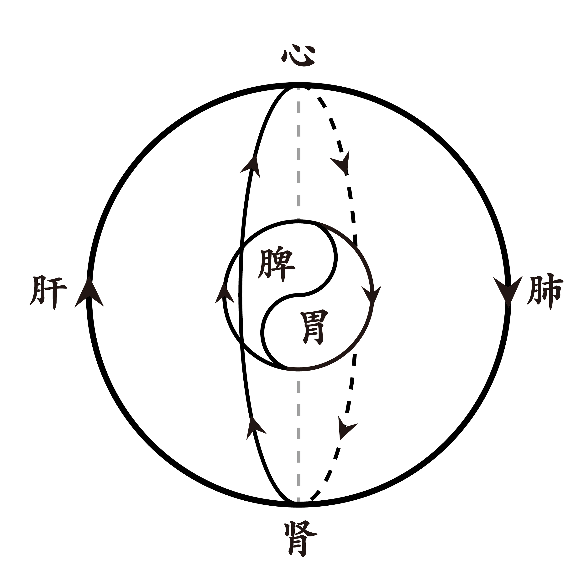 点石学员风采：以人体三“太极”辨病机——从阴阳循环悟诊疗思路