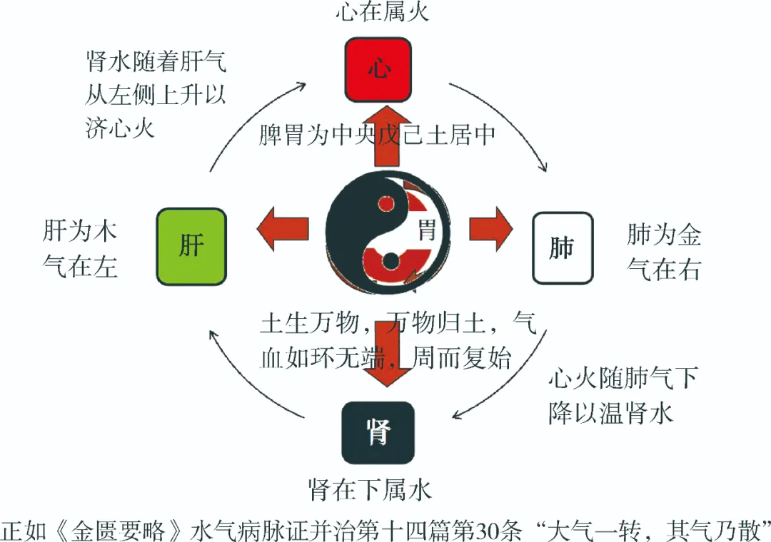 反复感冒咳嗽发热，可惜很多人想不到它